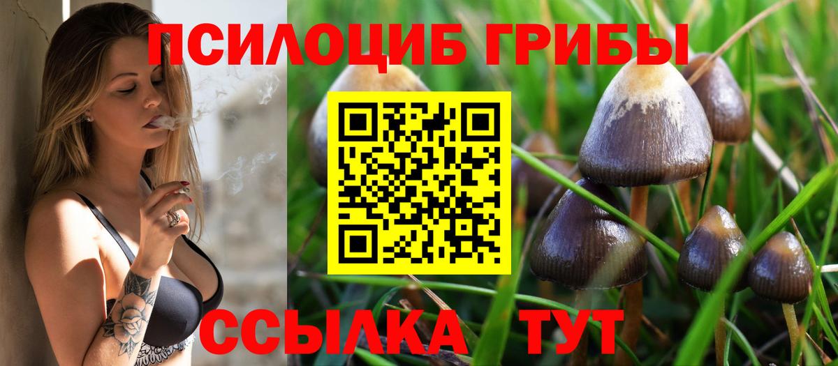 Псилоцибиновые грибы ЛСД Бутурлиновка