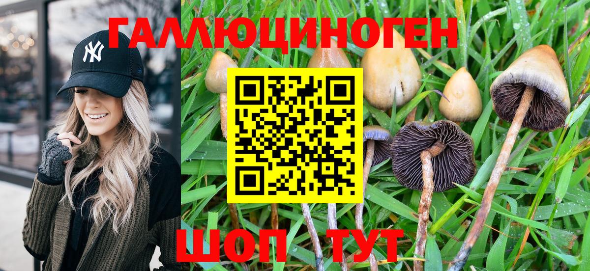 что такое   Галлюциногенные грибы Magic Shrooms  Вход с VPN  Бутурлиновка 